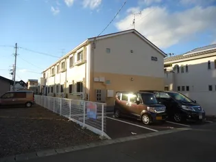 ラヴィータの画像