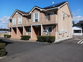 ヴァイオレット加茂野の画像