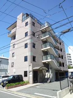 リファインドYMの画像