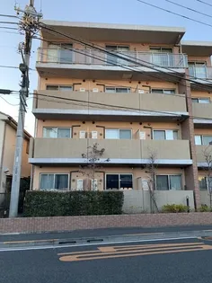 コスモアージュの画像