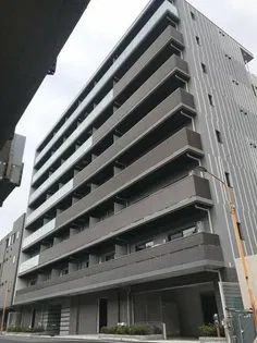 アルテシモグレイスの画像