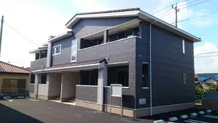 コッティ ベリー Ⅰの画像