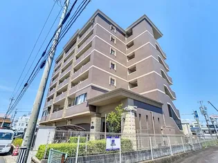 ラ ミノールIIIの画像