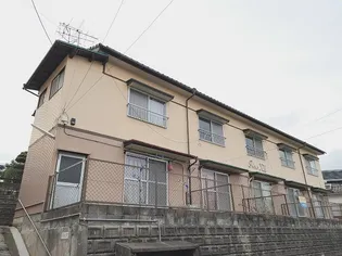 Fine XIII( )の外観