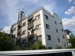 桜ハイツ【3階】の外観