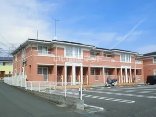 プリムローズN&M Bの画像