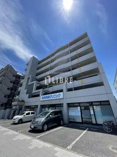 カレラエイトの画像