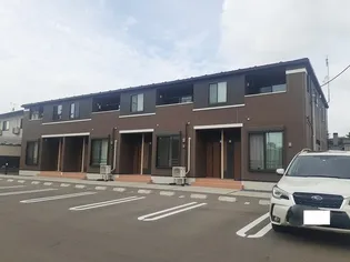 カンファタブルの画像