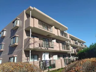 サンフラワーIIの画像