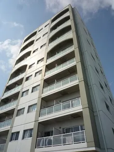 アルコ10の画像