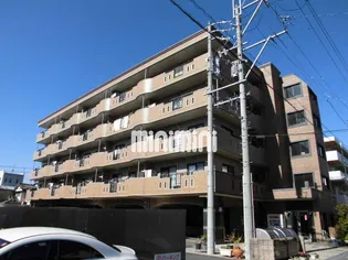 ロイヤル コンフォートマンションの画像