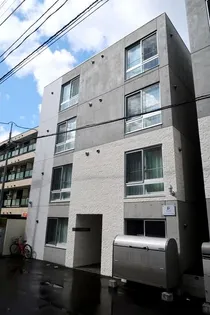 PINO COLLINAの画像
