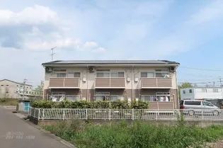 レグルスの画像