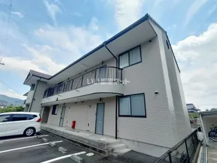 シャルムキリムラの画像