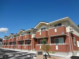 ヴィーナス 夏の画像