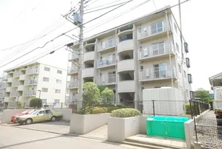 サンフラワーの画像