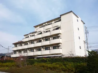 ヴィラ エーデルワイス IIの画像