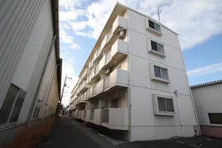 リトルハイム花尻58号館【4階】の外観