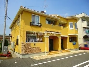 プリムローズBの画像