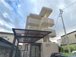 POLESTAR MORIの画像