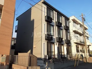 ROGIE HILLSの画像