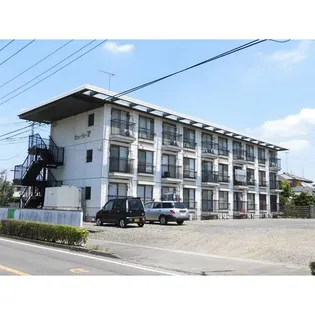 ビューラー7の画像