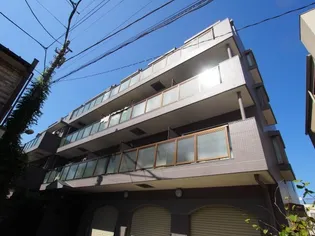 ピンテール3の画像