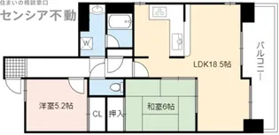 パードレ関目【8階】の間取り