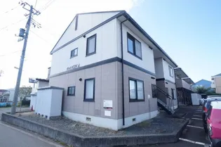 ヴィオラSIN Aの画像