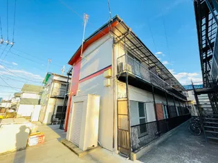 アースパックス1の画像