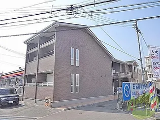 サン ローズの画像