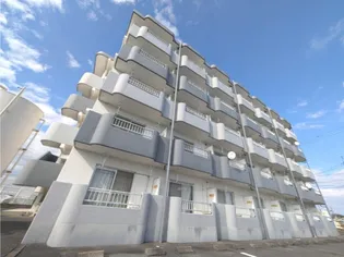 静岡県浜松市中央区根洗町【マンション】の外観