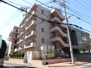 ベルドゥムール草加高砂の画像