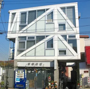 アオヤギ ブレースの画像