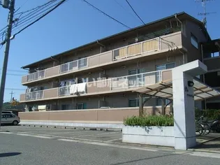 DOマンションB【2階】の外観