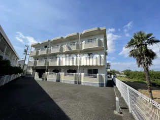 Oハイツスワンの画像