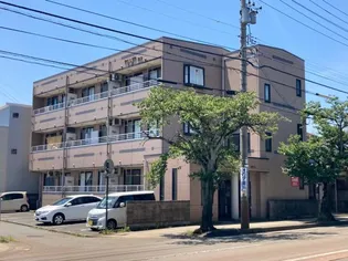 ピラ宮崎の画像