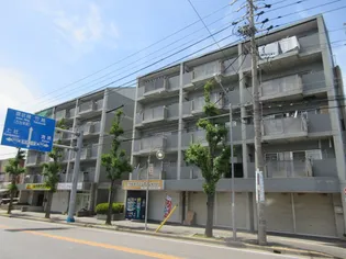 ツインコ-ト【5階】の外観