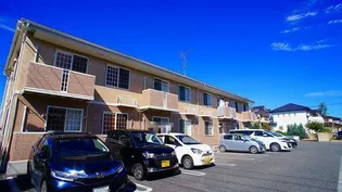 スプリングウィンドⅡの画像