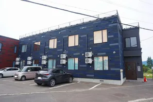 NORFINO PURの画像