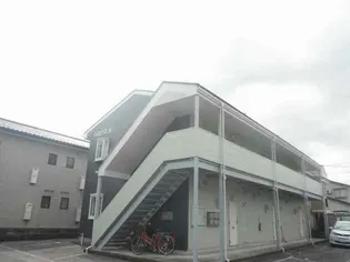 ルピナスNの画像