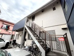 モアヌアオキの画像