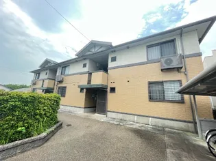 エバーグリーンの画像