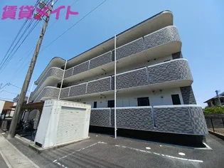 ミレニアム楠の画像