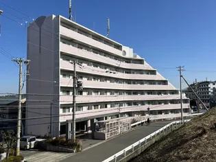 アンペリエの画像