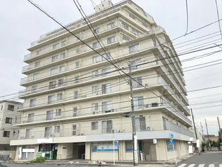 ココス八重咲【10階】の外観