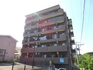 しゃとれ東勝山の画像