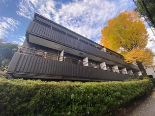 ビ アレイドの画像