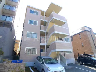 アン坂光の画像