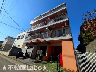 徳島県徳島市川内町榎瀬【マンション】の外観